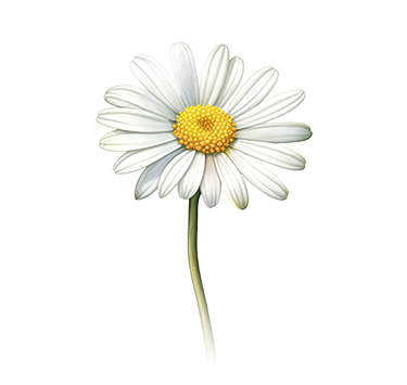 Dlower_1_branch_corrected